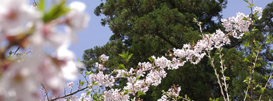 東国花の寺 百ヶ寺